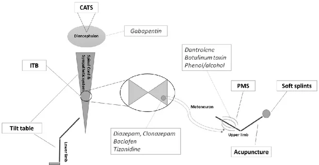 Figure 2. Schematic overview of the reviewed treatments and their anatomical application