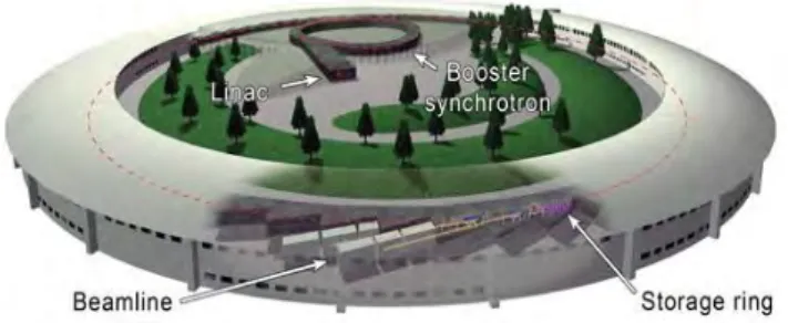 Figure 1 - Les éléments principaux du Synchrotron de  l'ESRF 