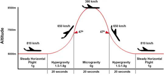 Fig. 1 Typical ﬂ ight trajectory of a PF for 0 g parabola ’ s