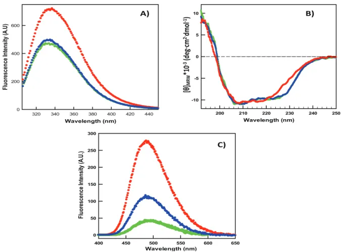 Fig. 2. Structural characterisation of the three lysozymes by fluorescence and far UV-CD