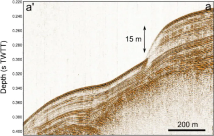 Figure 8. Sparker seismic profile illustrating a submarine landslide head scarp that is probably linked to the MTD 19