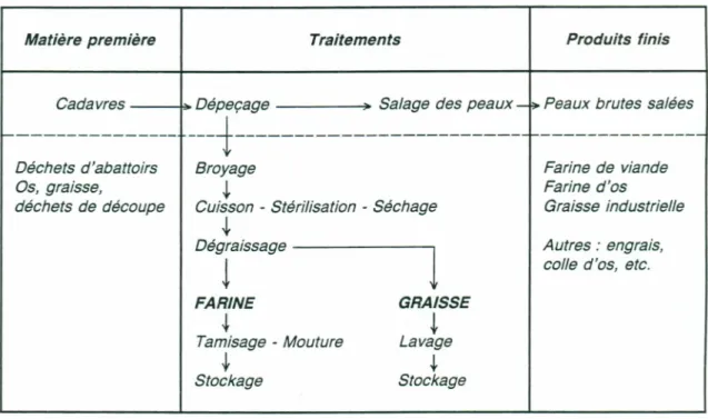 Tableau 1. Filière classique de traitement en équarrissage.