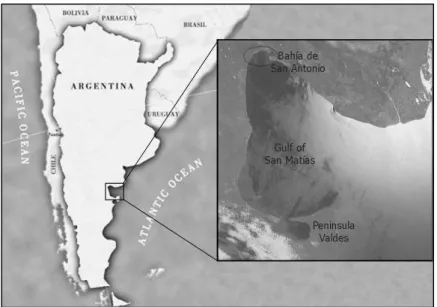 Fig. 1: Map of the coast of the Río Negro province, Patagonia Argentina, marking the study area Natural Protected Area Bahía de  San Antonio