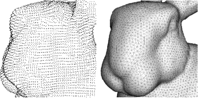 Figure 13 Triangulation de Delaunay - Lapin de Stanford (Creatis, 2014) 