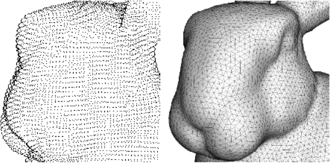 Figure 13 Triangulation de Delaunay - Lapin de Stanford (Creatis, 2014) 