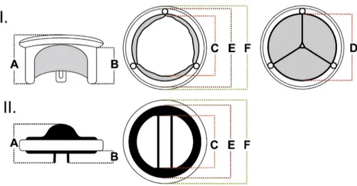 Fig 2. Physical dimensions of surgi- surgi-cal prosthetic heart valves, mitral position