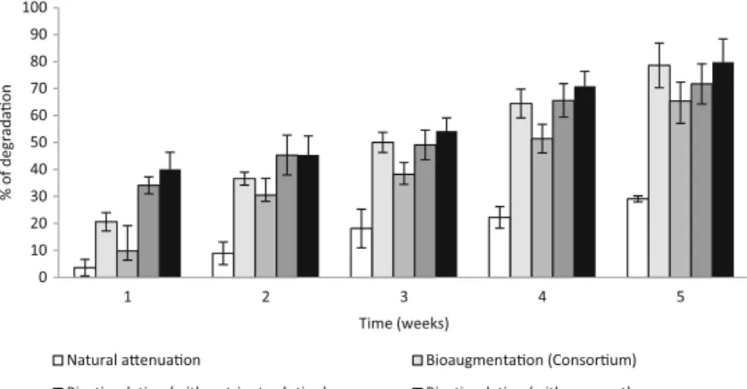Fig. 8 Percentage of degradation of diesel by endogenous bacterial using natural attenuation and biostimulation methods