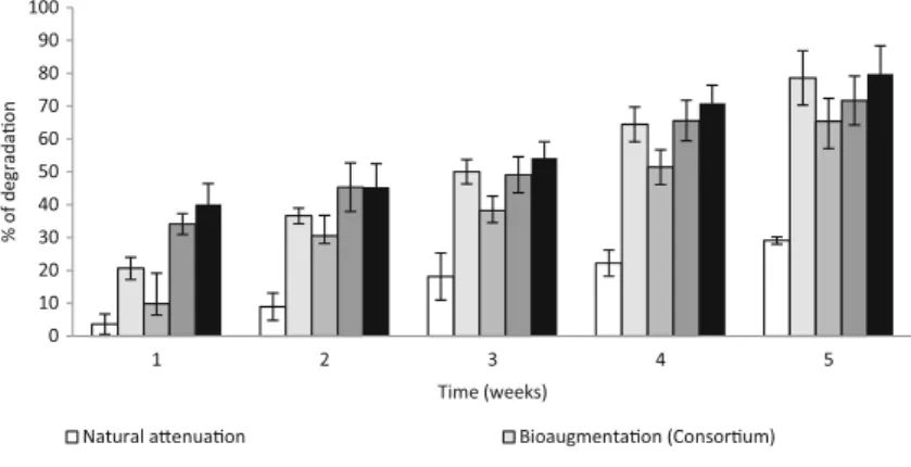 Fig. 8 Percentage of degradation of diesel by endogenous bacterial using natural attenuation and biostimulation methods