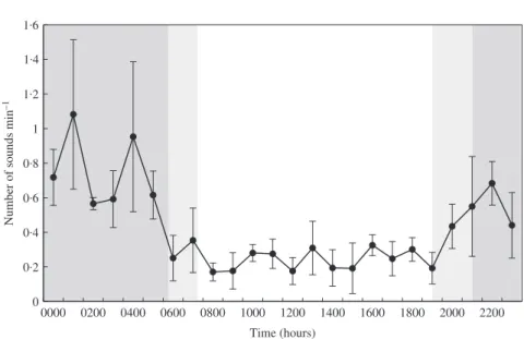 Fig. 10. Diel cycle of growl production of Epinephelus marginatus in Cerbère-Banyuls reserve in 2013