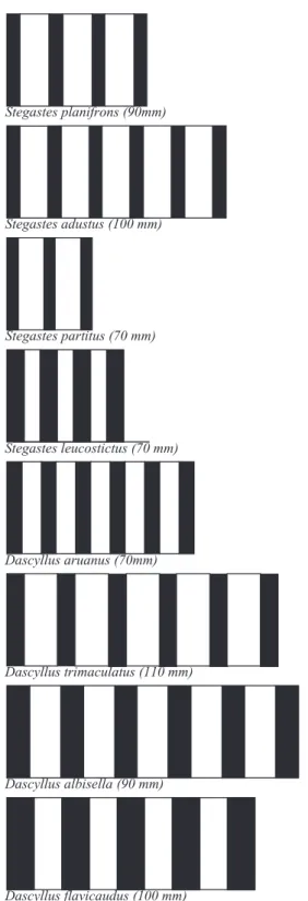 Figure 11. Bar codes corresponding to the typical dip sounds in different species of damselfish of the Stegastes and Dascyllus genera