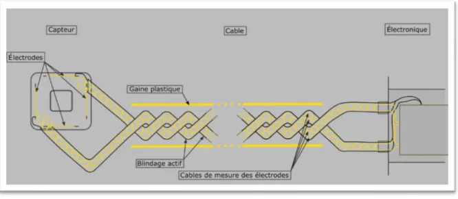 Figure 7 : Schéma des câbles torsadés utilisés avec les capteurs WPS