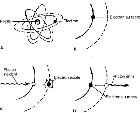 Fig. 1 : Représentation schématique du principe de capture et de libération d’énergie lumineuse par un atome