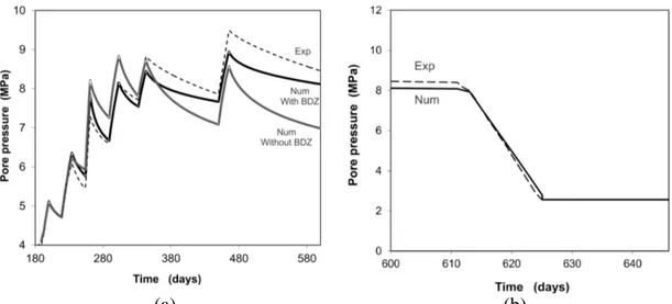 Figure 4. Comparison between experimental and 1D numerical pore pressures  (a) during 1 st  gas injection test (with emphasis on the influence of borehole 