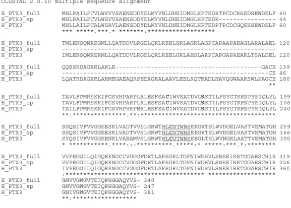 Figure 2. Alignment analysis of amino acid (aa) residues for equine PTX3 full length (E_PTX3_full), spliced (E_PTX3_sp) and human PTX3 (ptx3_H)