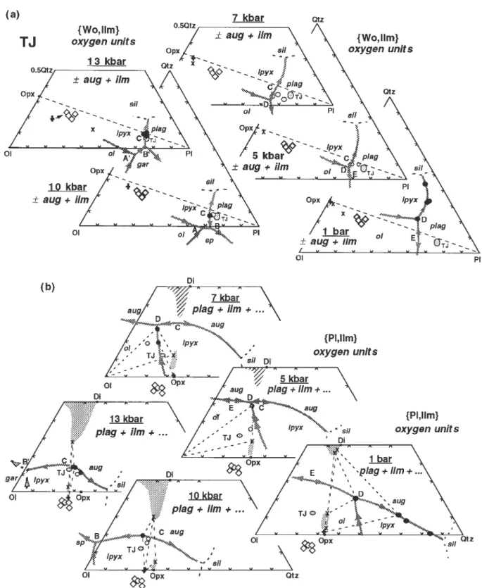 Fig. 3. Progression of liquidus equilibria and solid solutions for TJ-like compositions from 1 bar to 13 kbar