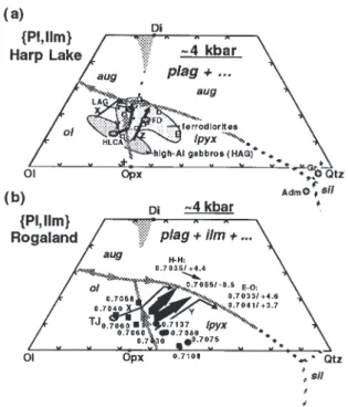 Fig. 4. Crystallization paths of anorthositic and mafic magmas at (a)