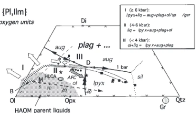 Fig. 6. Fractionation paths of mantle-derived liquids. Heavy dashed