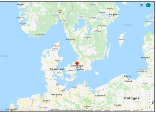 Figure 4 - Location of Copenhagen - Source: Google Maps 