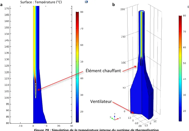 Figure 29 : Simulation de la température interne du système de thermalisation     
