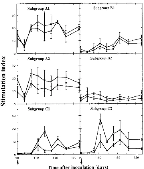 Figure 3. Effect of primary and secondary inoculation on the development of the in vitro proliferative response  for PBMC of calves to non-cytopathic virus (O) and cytopathic counterpart ( ● )
