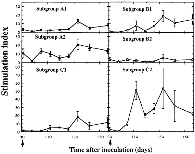 Figure 4. Comparison of the  in vitro lymphocyte proliferative response of calves to recombinant NS3 protein  after primary inoculation and after challenge