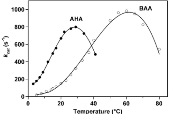 Fig. 2. Eﬀect of temperature on the activity of psychrophilic and mesophilic enzymes. Curves representing the thermal dependence of the speciﬁc activity of the psychrophilic a-amylase from P