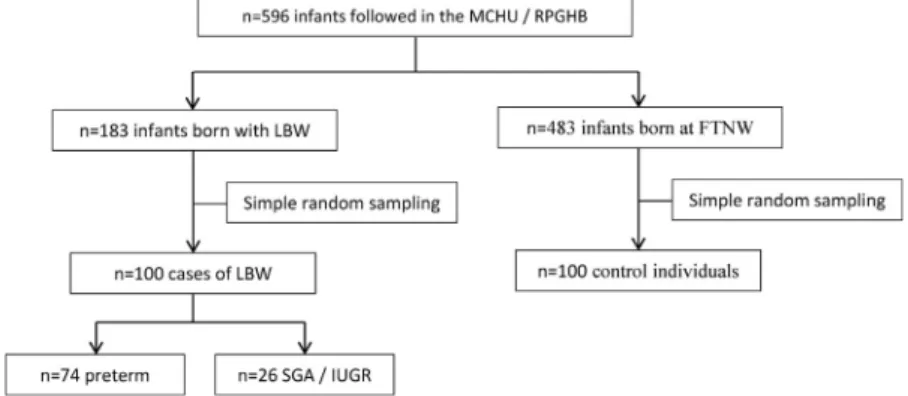Fig. 1. Flow chart for infants followed in MCHU/RPGHB. MCHU: maternal and child health unit; RPGHB: Reference Provincial General Hospital of Bukavu; LBW: