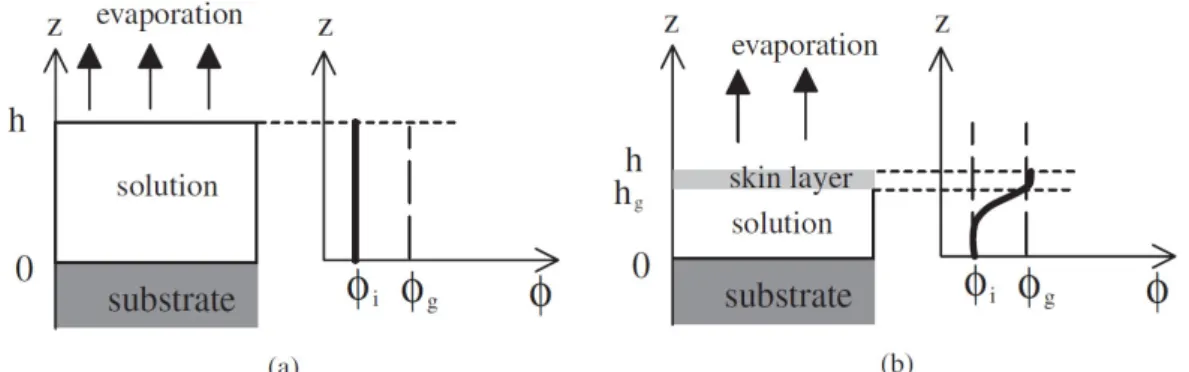 Fig. 1-3. Schematic of thin evaporating film of a polymer solution (left) and a profile  of polymer concentration ∅ (right) for an initial situation (a) and a situation after skin  formation (b) [18]