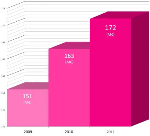 Figure 1 - Chiffre d'affaires du groupe Digital Virgo 