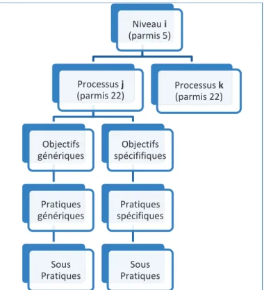 Figure 15 - Structure d’un niveau CMMI en représentation étagée