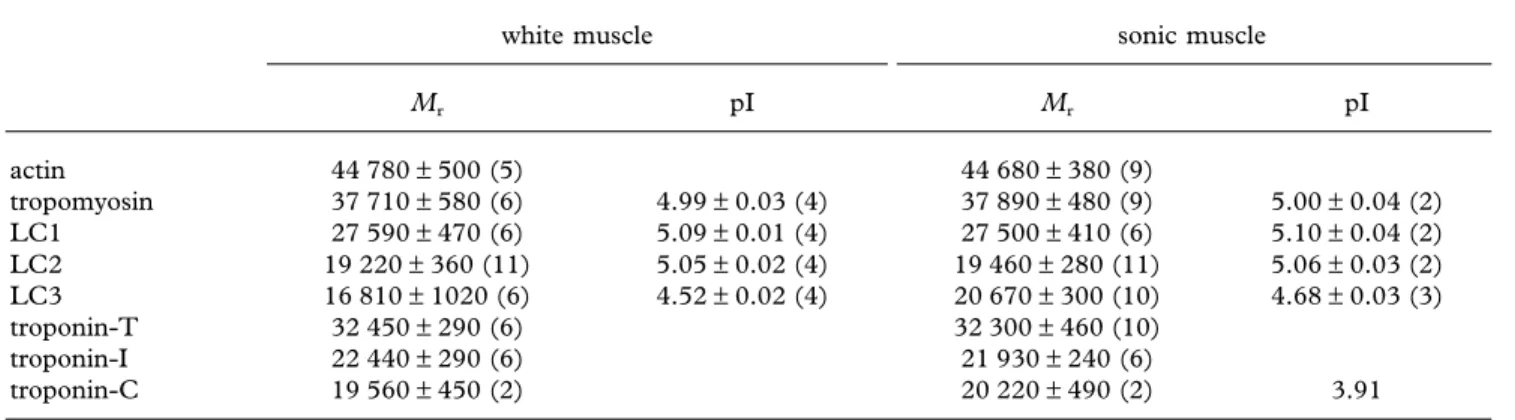 Table 2. Physico-chemical properties and distribution of the myofibrillar proteins in white epaxial and sonic muscle.
