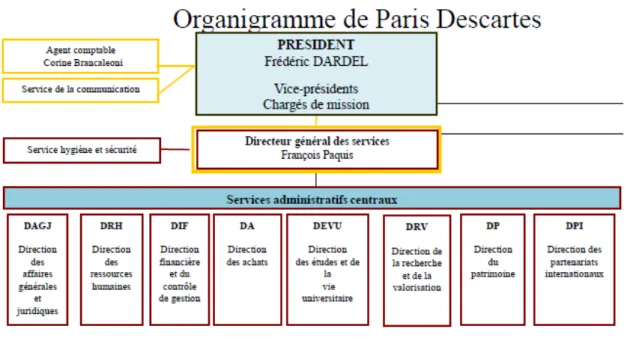 Figure 3 Extrait de l'organigramme général   Source : Université Paris-Descartes, septembre 2011 
