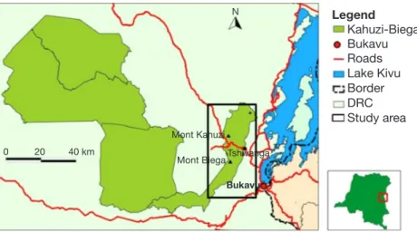 Figure 1.  Study area: Kahuzi-Biega National Park —  Zone d’étude : Parc  National de Kahuzi-Biega.0 20 40 km Legend Kahuzi-BiegaBukavuRoadsLake KivuBorderDRCStudy areaNMont KahuziMont BiegaTshivanga
