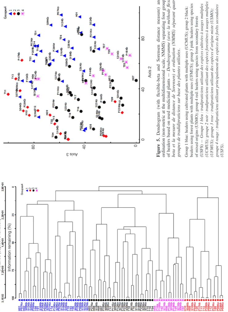Figure 5. Dendrogram (with flexible-beta and Sorensen distance measure) and ordination (non-metric at the multidimensional scale, NMMS) separating four groups of healers based on used medicinal plants — Dendrogramme (avec la méthode flexi- beta et la mesur