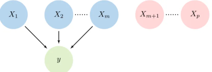 Figure 3.6: Model of the system with m conditionally relevant variables denoted as {X 1 , 