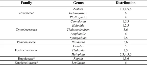 Table 1.1: summary table of world repartition of seagrass genus (adapted from Papenbrock,  2012 and DenHartog and Kuo, 2006)