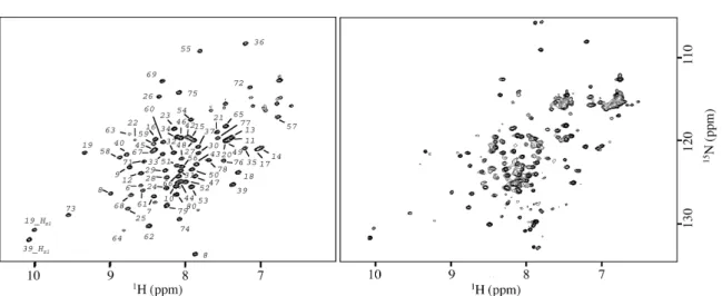 Figure 2. Comparison of the 15 N HSQC spectra at 25 8C of BlaI N-terminal domain (BlaI-NTD) and of full-length BlaI.