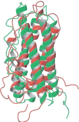 Figure 3. Comparisons of prolactin structures. Struc- Struc-tural alignment of two solution structures of human prolactin