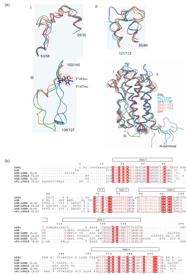 Figure 5. Structural alignment of oPL, hGH and hPRL. (a) Ribbon representation of unbound hPRL (blue; PDB code, 1RW5), oPL bound to rPRLR (cyan; PDB code, 1F6F), unbound hGH (red; PDB code, 1HUW), hGH bound to hGHR (1:1, magenta; PDB code, 1A22), hGH bound