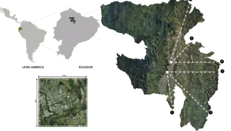 Fig. 1. MDQ Location. De ﬁ nition of the 6 study transects and 64 sample plots.