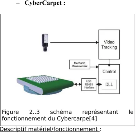 Figure   2..3   schéma   représentant   le  fonctionnement du Cybercarpe[4]