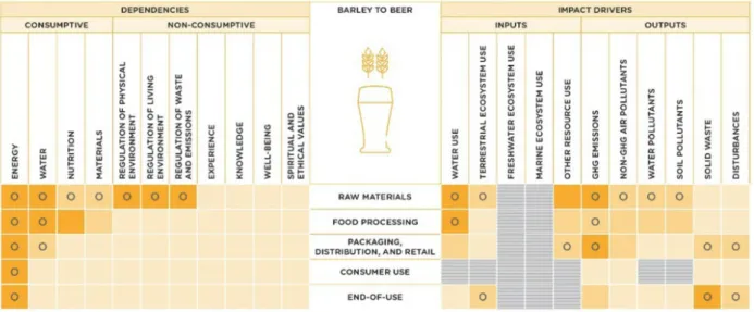 Figure 5. Indicative materiality matrix for the value chain of barley used to produce beer