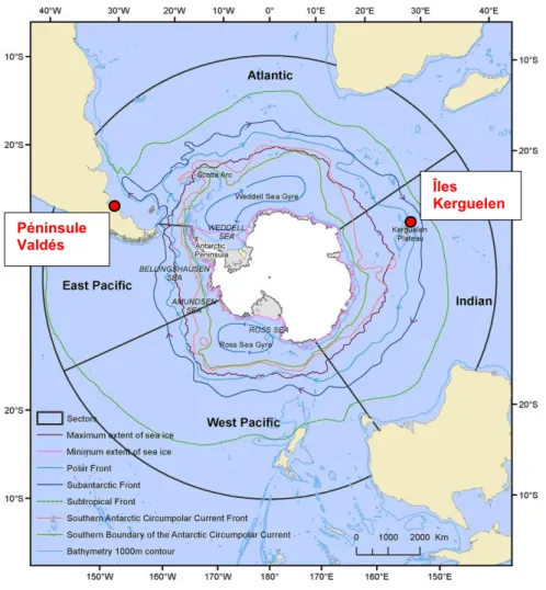 Figure 2 :  Localisation des sites d’étude (points rouges  : Péninsule Valdés et Îles  Kerguelen)  et des fronts océaniques dans l’océan  austral (Constable et al., 2014) 