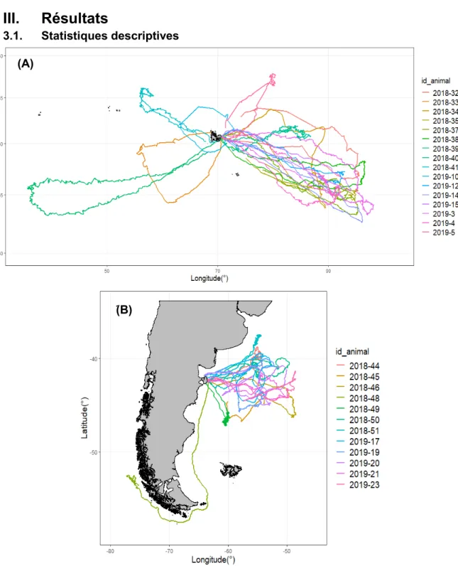 Figure 4 : Trajets parcourus par les éléphants de mer femelles originaires des Îles  Kerguelen (A) et par les éléphants de mer femelles originaires de la Péninsule 