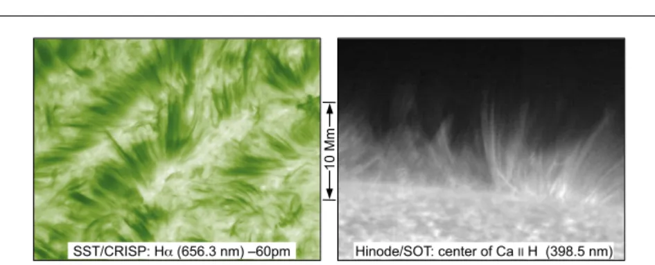 Fig. 3 Spicules on the disk (dark, left) and at the limb (bright, right). ChroME on SolmeX will deliver similar images, but now including measurements of the magnetic field in these thin structures