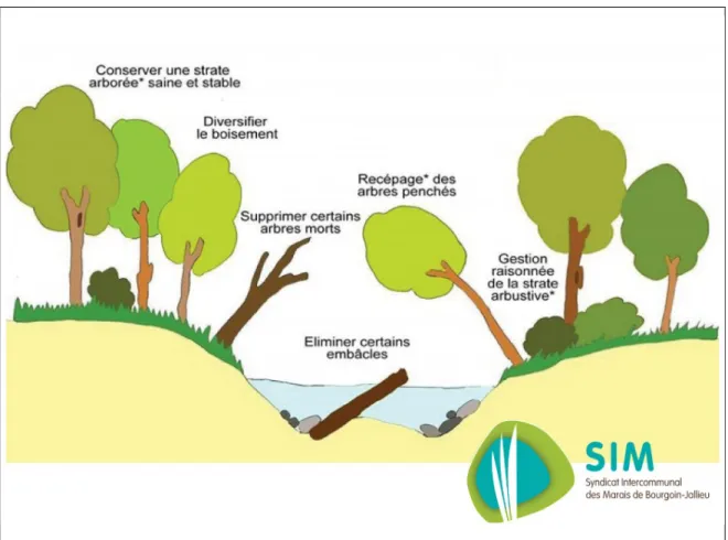 Figure 5 : illustration de l'obligation d'entretien publiée par un syndicat à l'attention des  propriétaires riverains 