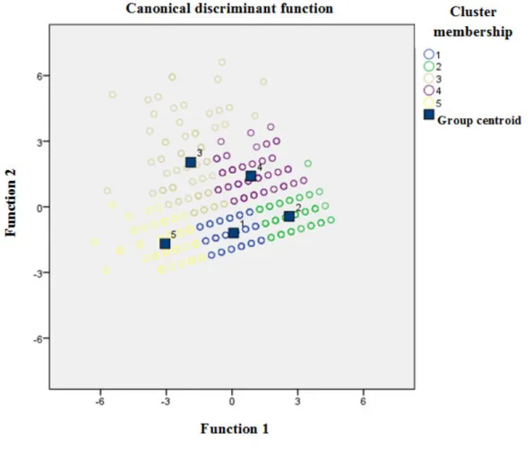 Figure 3. Five-cluster solution plotted in discriminant function space (Study 2) 