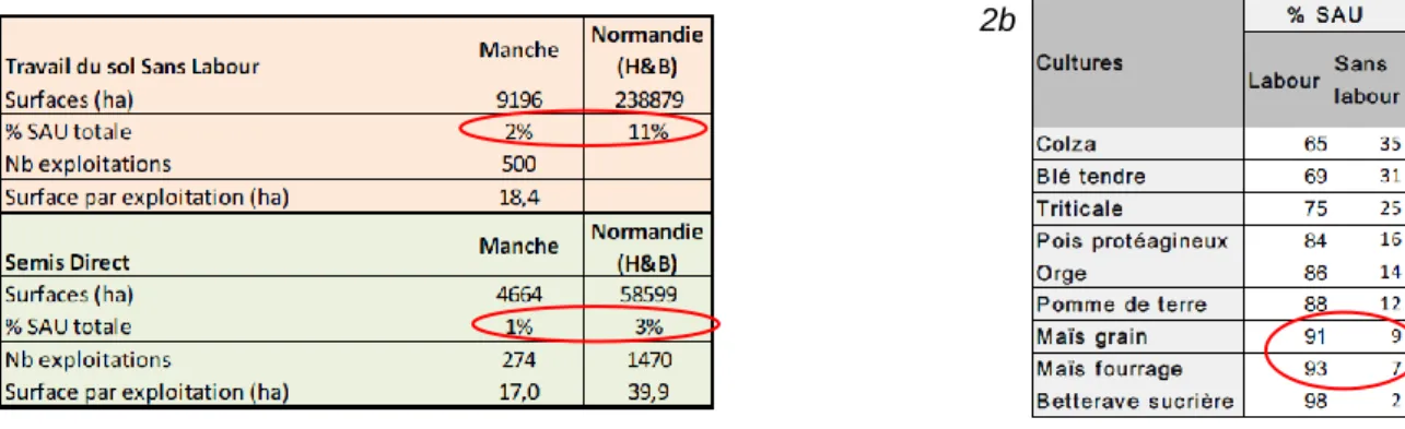 Tableau 2 :  Etat des lieux de la pratique de sans labour