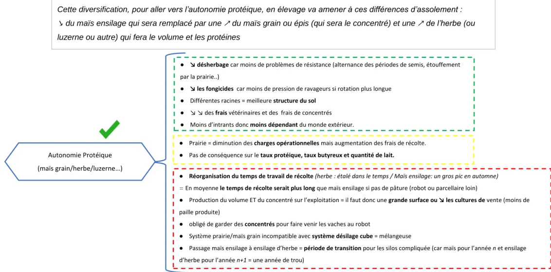 Figure 9b: Effets sur l'exploitation pour l'idéal-type 1 par : les pratiques « diversification des cultures »