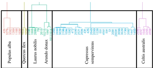 Figure 5 : Classification ascendante hiérarchique réalisée sur les haies en fonction de leur composition floristique 